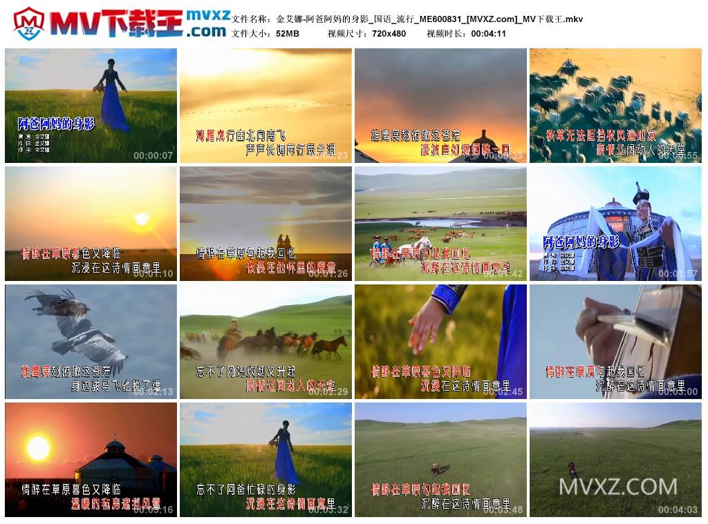 金艾娜-阿爸阿妈的身影_国语_流行_ME600831